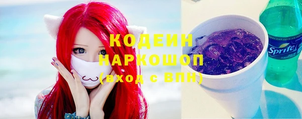 мдпв Бородино