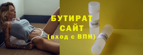 мдпв Бородино