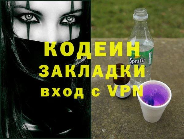 мдпв Бородино