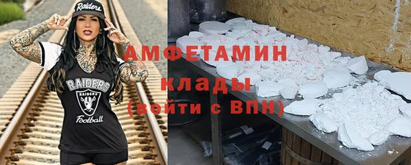 мдпв Бородино