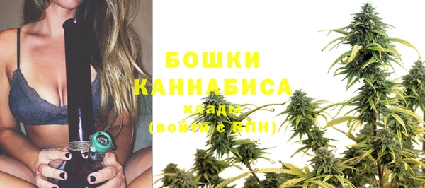 мдпв Бородино