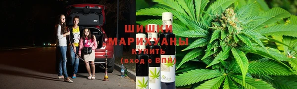 мдпв Бородино