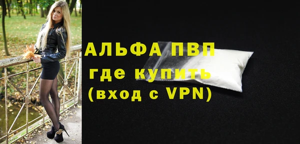 мдпв Бородино
