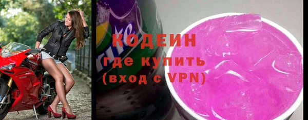 мдпв Бородино