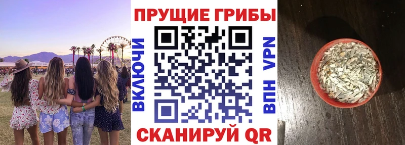 где купить наркотик  Чебоксары  Псилоцибиновые грибы мухоморы 